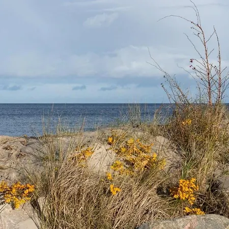 194 Luetjehuus Mit Dachterrasse Im Ersten Stock Lütjenburg
