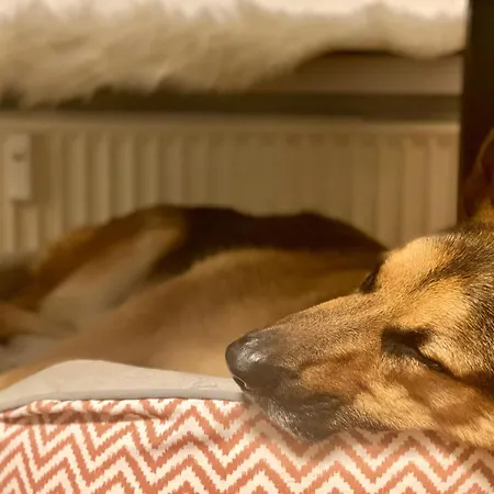 194 Lütjehuus * Lütjenburg