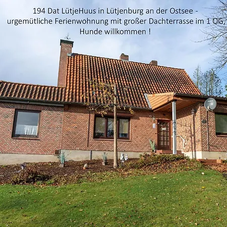 194 Luetjehuus Mit Dachterrasse Im Ersten Stock Διαμέρισμα *