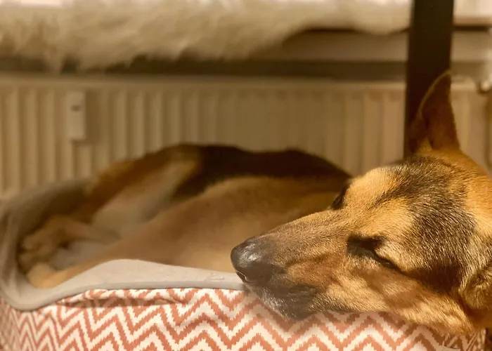 194 Luetjehuus Mit Dachterrasse Im Ersten Stock * Lütjenburg